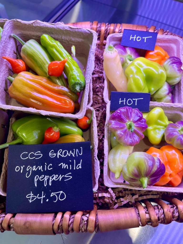 A basket containing various types of organic peppers, including mild and hot varieties, with a sign that reads 'CCS GROWN organic mild peppers $4.50'.