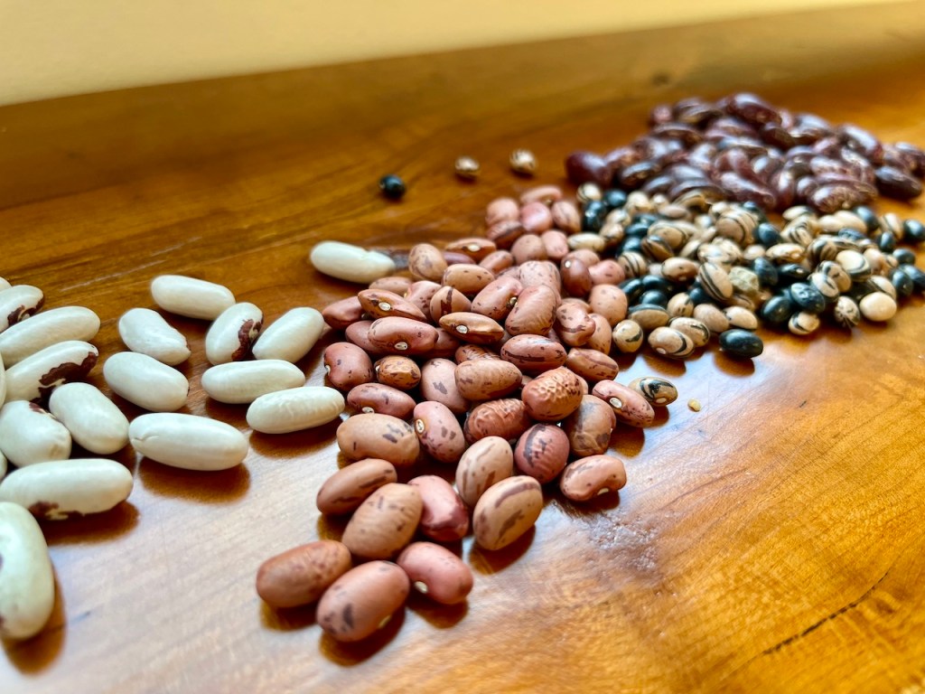 A variety of heirloom beans displayed on a wooden surface, showcasing different colors and patterns.
