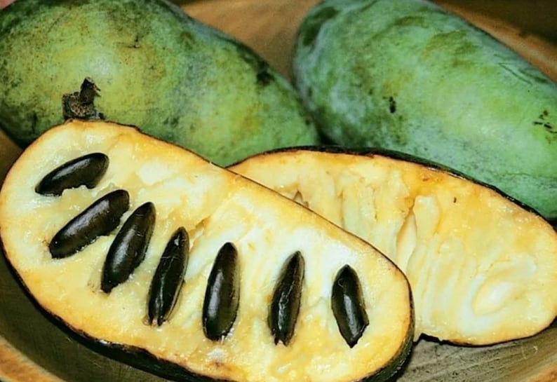 A whole and halved pawpaw fruit showcasing its smooth, custard-like flesh and large seeds, set against a wooden surface.